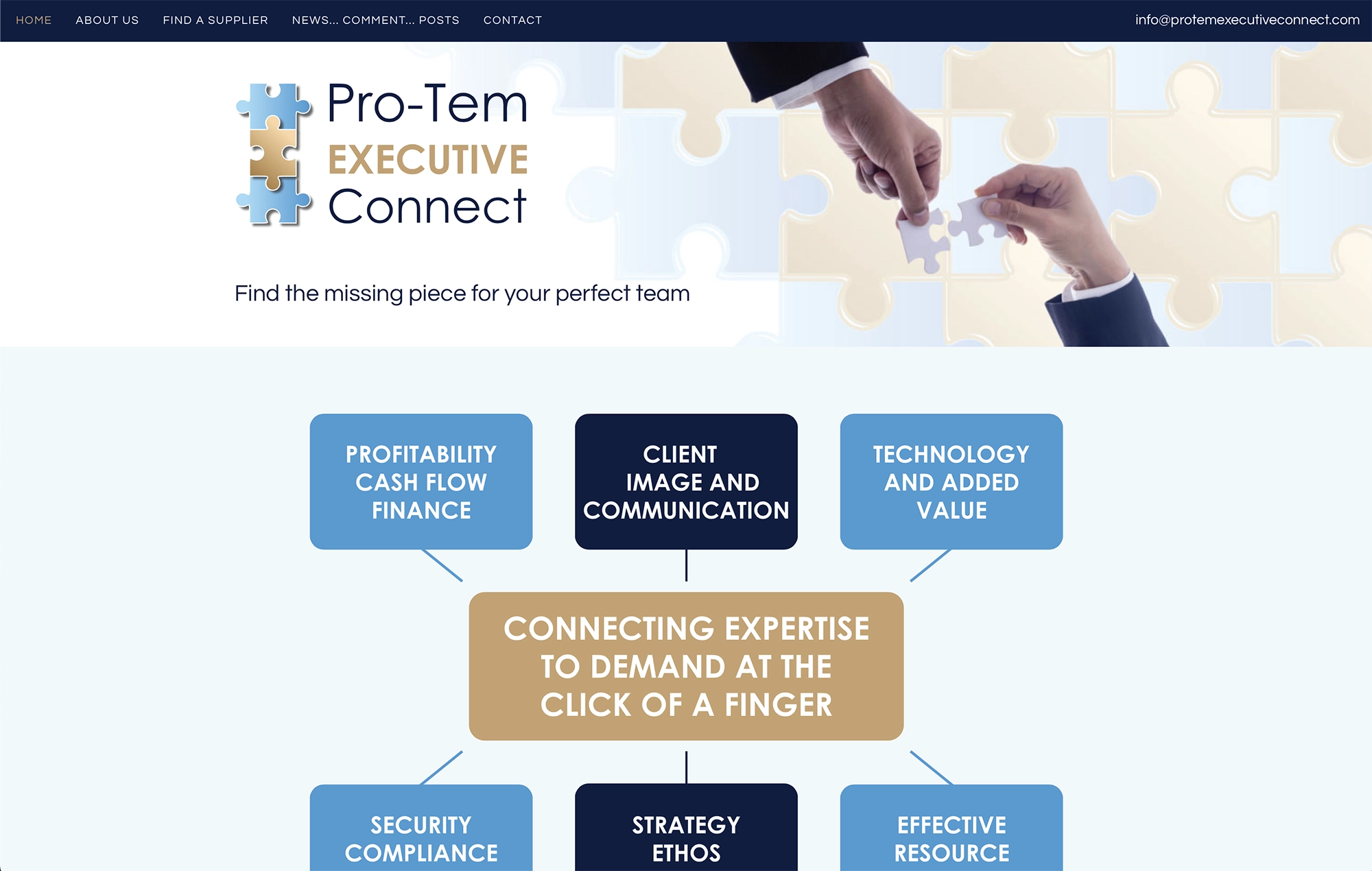 Pro-Tem Executive Connect | Working with Total Web Creations | Branding and Website Design