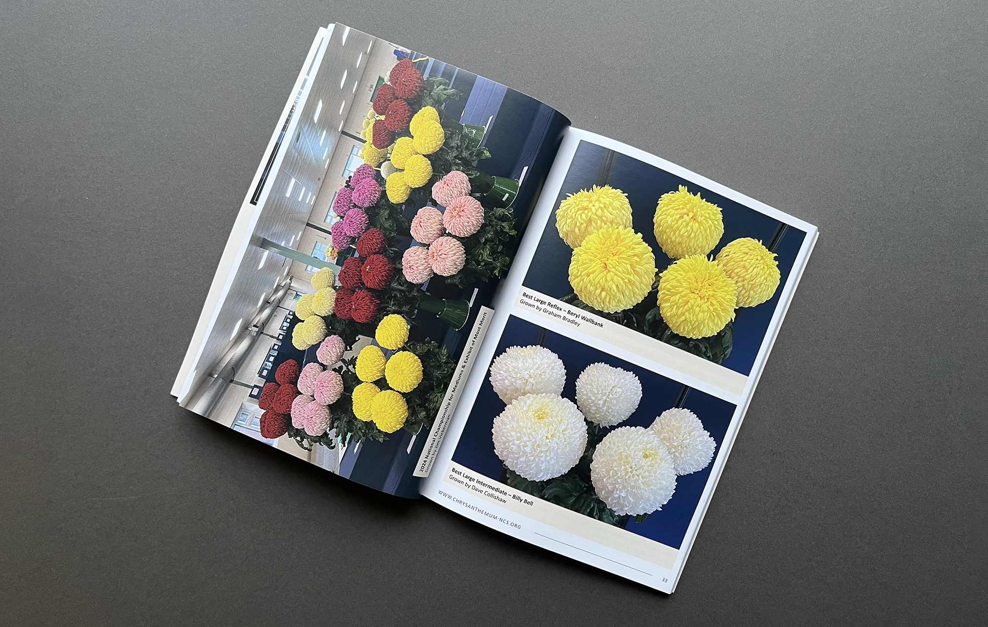 National Chrysanthemum Society | Panorama 2024 | Working with Total Web Creations | Design & Print